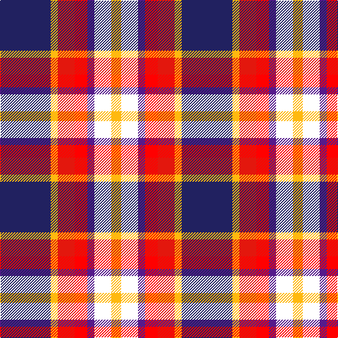 DB/72 Y10 R24 Ra18 P10 W24 Y/14 tartan Tartan detail