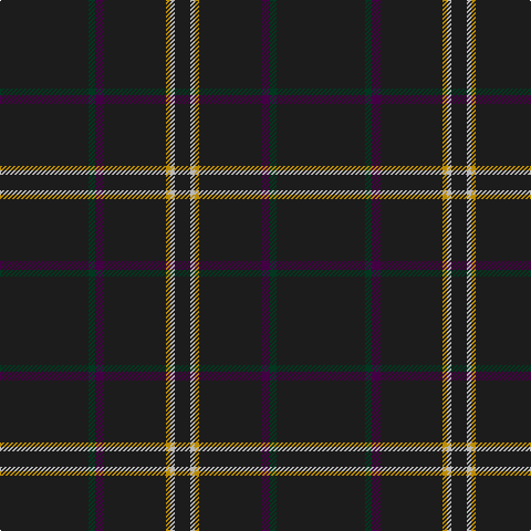 K/80 DG6 DP8 K56 DY4 N4 K/14 tartan Tartan detail