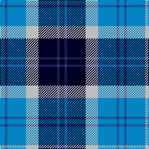 B/8 Ba4 B30 LN20 DB30 Ba4 DB/8 tartan Tartan detail
