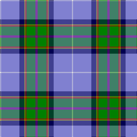 LN/4 B64 DB17 LG4 R4 G31 P/8 tartan Tartan detail