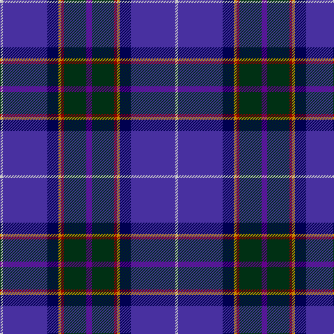 N/4 B64 DB16 DY4 DR4 DG32 P/8 tartan Tartan detail