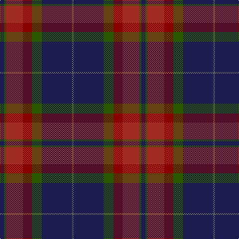 DB/8 G4 DR34 DRa18 G20 DB60 N/4 tartan Tartan detail