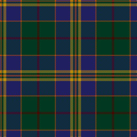 DO/6 DG6 DY10 DB50 DO4 DG54 DR/8 tartan Tartan detail