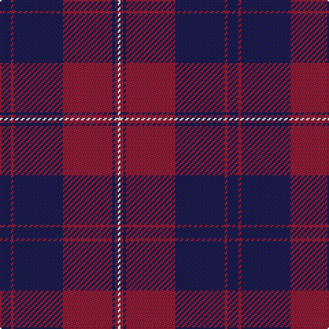DB/8 DR2 DB36 DR36 DB2 DR2 LN/2 tartan Tartan detail