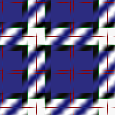 DB/8 DR4 DB80 K22 G4 W32 DR/4 tartan Tartan detail