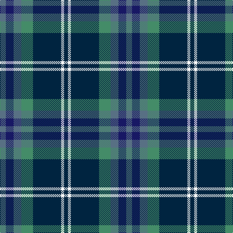 B/12 DB16 B16 G24 DN58 W6 DN/8 tartan Tartan detail
