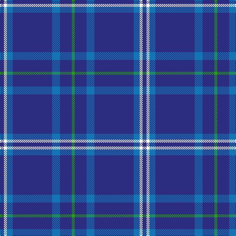 DB/8 W6 B12 DB80 B16 DB24 G/6 tartan Tartan detail