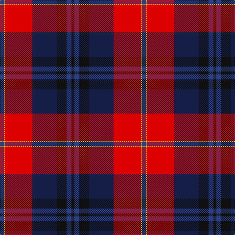B/8 Y2 R56 DB50 K20 B10 K/6 tartan Tartan detail