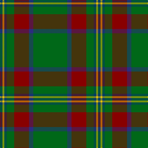 DB/8 Y6 DB8 G24 DR48 DBa14 G/110 tartan Tartan detail