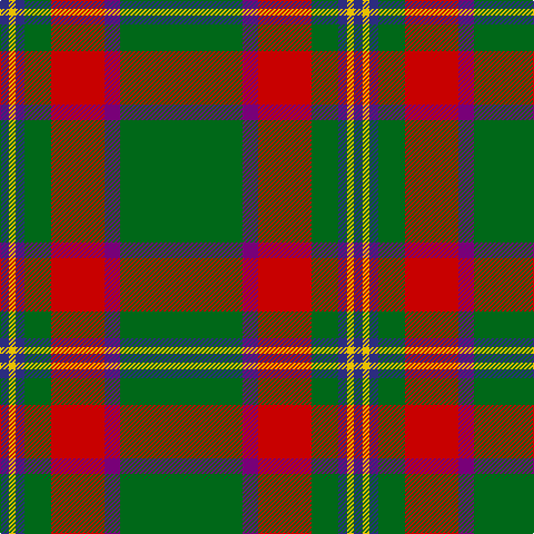 DB/8 Y6 DB8 G24 R48 P14 G/110 tartan Tartan detail