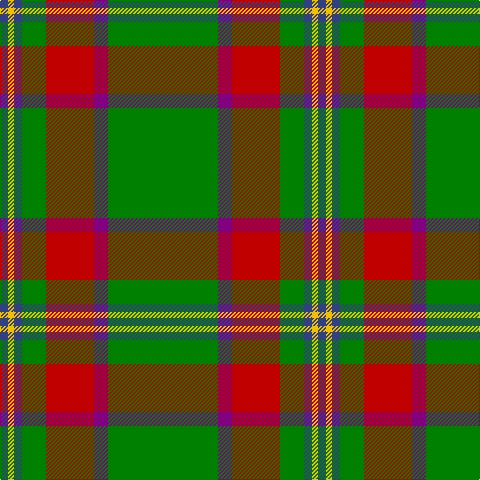 B/8 Y6 B8 G24 R48 P14 G/110 tartan Tartan detail