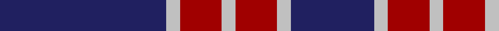 BC Corps of Commissionaires, The example sett