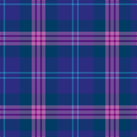 DBa/12 B6 DBa52 DB41 Pa12 P6 Pa/12 tartan Tartan detail