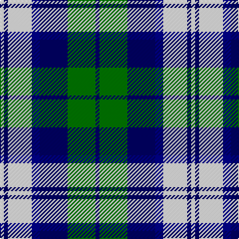W/4 DBa4 W24 DB8 DBa28 G28 DBa/4 tartan Tartan detail