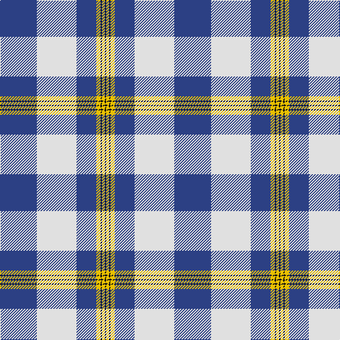 B/52 LN56 B28 Y6 K2 Y4 K/2 tartan Tartan detail