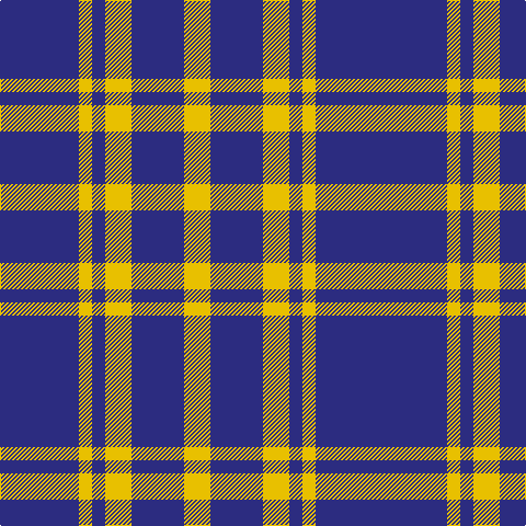 DB/24 DBa48 Y12 DB12 Ya24 DBa48 Ya/24 tartan Tartan detail