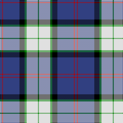 B/8 R4 B64 K20 G8 LN44 G/4 tartan Tartan detail
