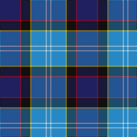 B/12 LN4 B50 Y4 K32 R4 DB/70 tartan Tartan detail