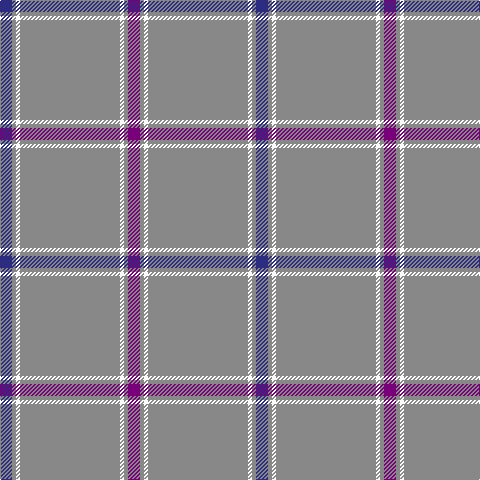 DB/12 N4 W4 N100 W4 N4 P/12 tartan Tartan detail