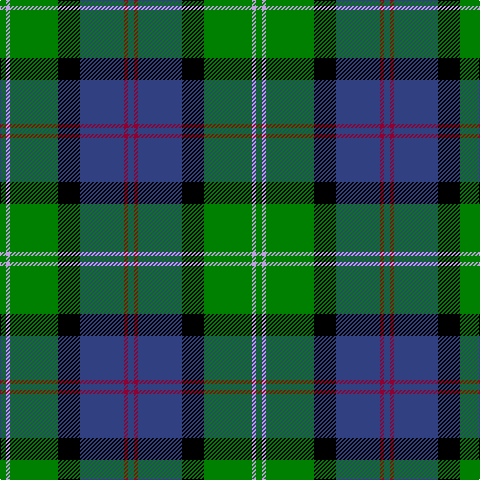 B/6 DR4 B44 K22 G48 LP4 G/6 tartan Tartan detail