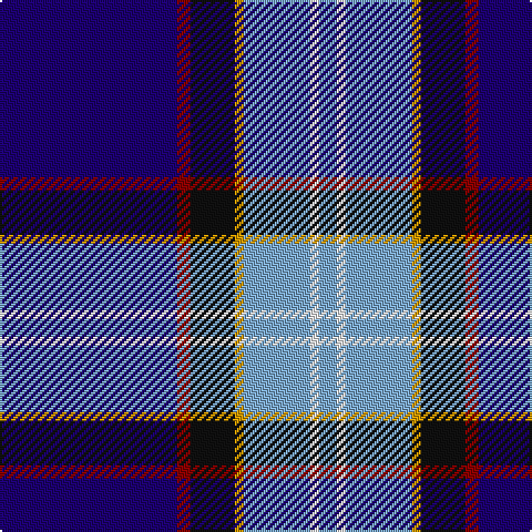 DB/80 DR6 K20 DY4 B30 W4 B/8 tartan Tartan detail