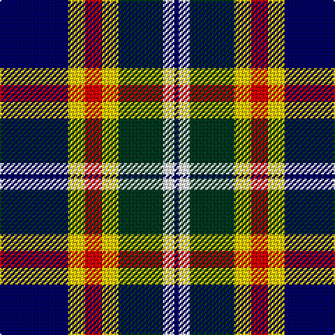DB/3 W8 DG32 Y12 R12 Y12 DB/49 tartan Tartan detail