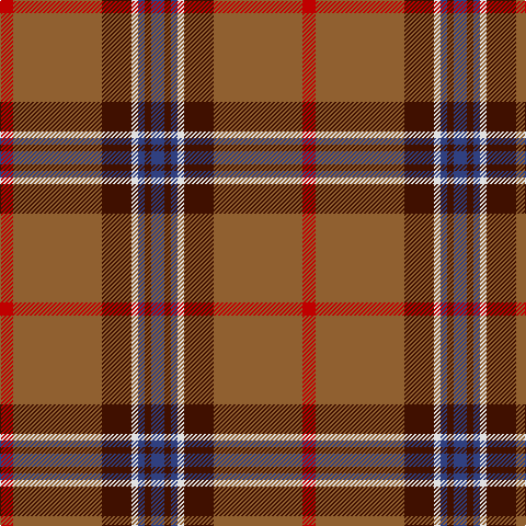 R/12 LT81 DR27 LN6 B6 DR6 B/12 tartan Tartan detail
