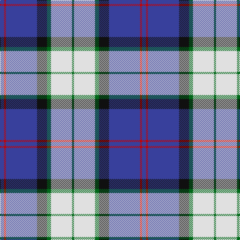 B/8 R4 B62 K20 G8 LN42 G/4 tartan Tartan detail