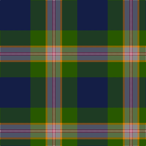 DB/100 G50 O6 N16 DR2 W2 DR/2 tartan Tartan detail
