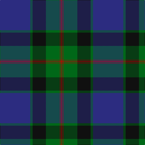 DB/100 G8 K44 G46 R2 G2 R/4 tartan Tartan detail