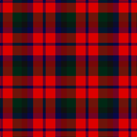 DB/10 R34 DG32 K20 DB20 R34 DB/10 tartan Tartan detail