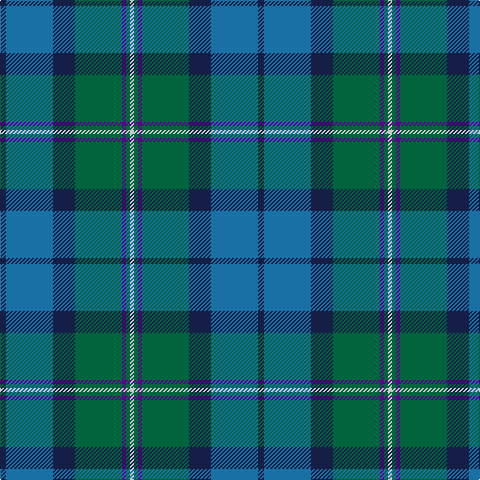 DB/6 B47 DB22 G47 P4 G4 N/4 tartan Tartan detail