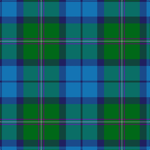 DB/6 B47 DB22 G47 P4 G4 N/4 tartan Tartan detail