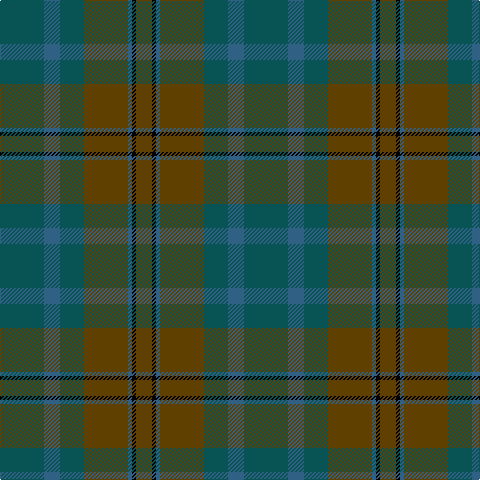 G/44 B16 G24 T44 B4 K4 T/16 tartan Tartan detail
