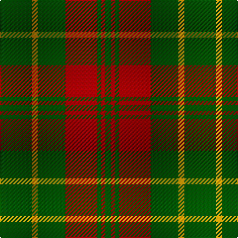 G/32 DY6 G28 DR32 G4 DR4 G/6 tartan Tartan detail