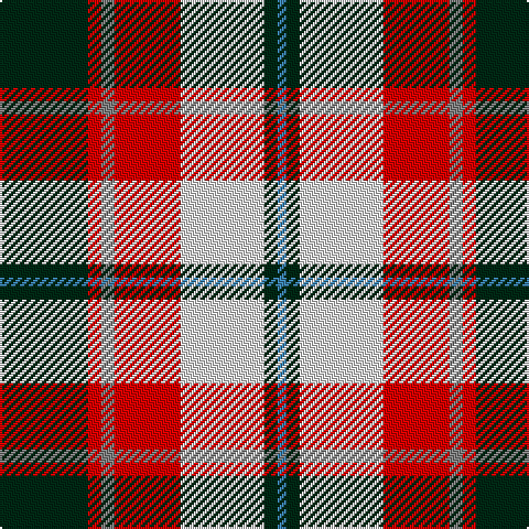 DG/40 R6 N6 R30 LN38 DG6 B/4 tartan Tartan detail