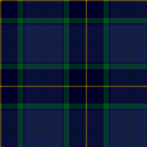 DY/4 DB54 G18 DB4 DBa58 DB2 G/4 tartan Tartan detail