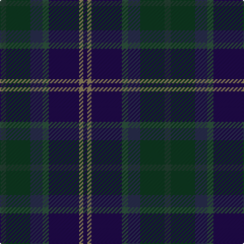 DBa/4 LT4 DBa30 N6 DB12 DG24 DN/6 tartan Tartan detail