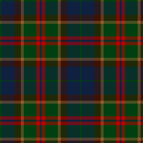 DG/6 DB44 DR20 LT10 DG42 R12 DB/6 tartan Tartan detail