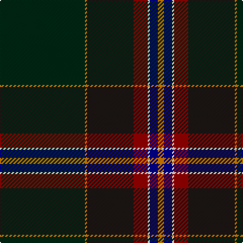 DG/84 O2 K46 DR14 W2 DB8 O/6 tartan Tartan detail