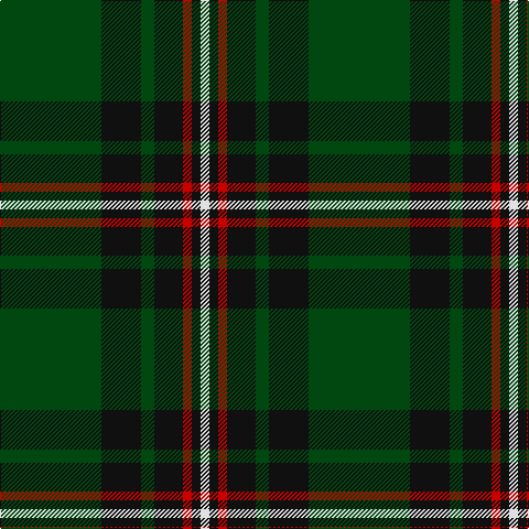 DG/92 K36 DG12 K26 R8 K8 LN/8 tartan Tartan detail