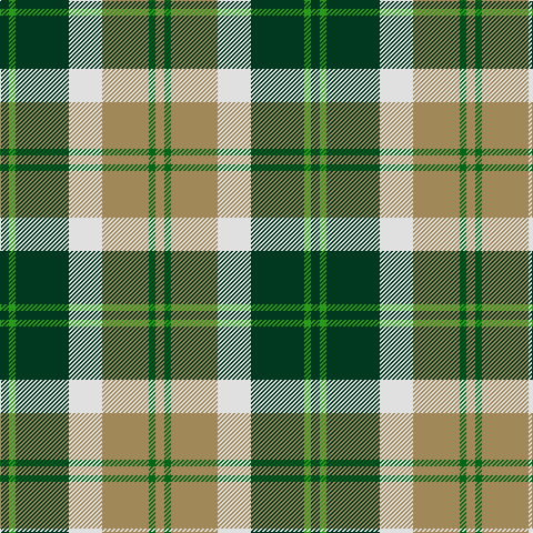 DG/8 Ga6 DG48 LN30 LT42 G6 LT/8 tartan Tartan detail