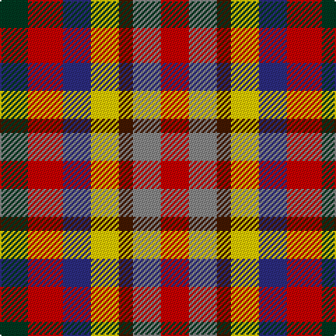 DG/20 R25 DB20 Y20 DR10 N20 Ra/20 tartan Tartan detail