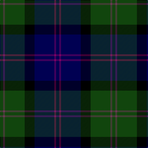DG/10 N6 DG64 K32 DB64 P6 DB/10 tartan Tartan detail