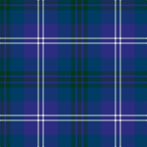 DG/14 DBa6 DG14 DB44 DBa44 LN6 DBa/10 tartan Tartan detail