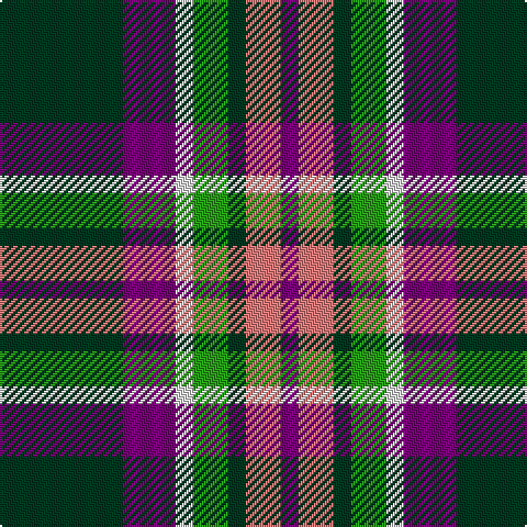 DG/56 P24 LN8 G16 DG8 LR16 P/8 tartan Tartan detail
