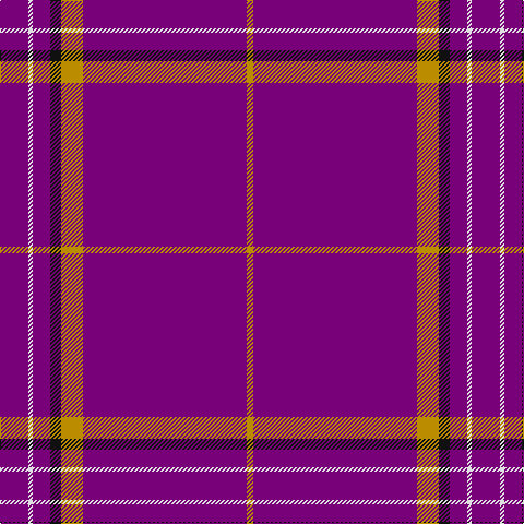 P/26 LN4 P16 K10 DY20 P150 DY/6 tartan Tartan detail