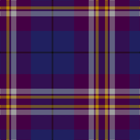 DP/22 DY10 DP6 N18 DP50 DB71 K/6 tartan Tartan detail