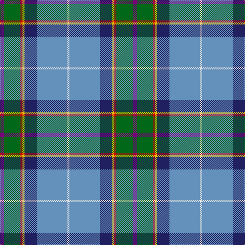 P/8 G32 R4 Y4 DB24 B60 LN/4 tartan Tartan detail