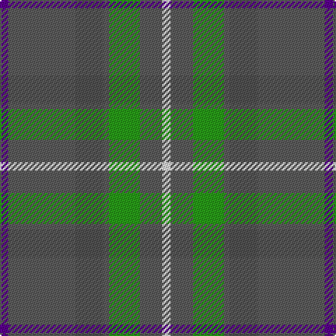 P/6 Na48 N20 Na4 G22 Na16 LN/6 tartan Tartan detail